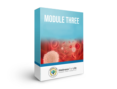 Bundle Blood Work Labs & Course - USA