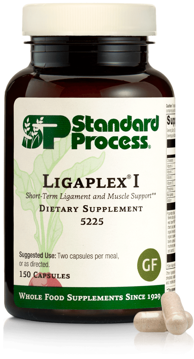 Ligaplex I Standard Process