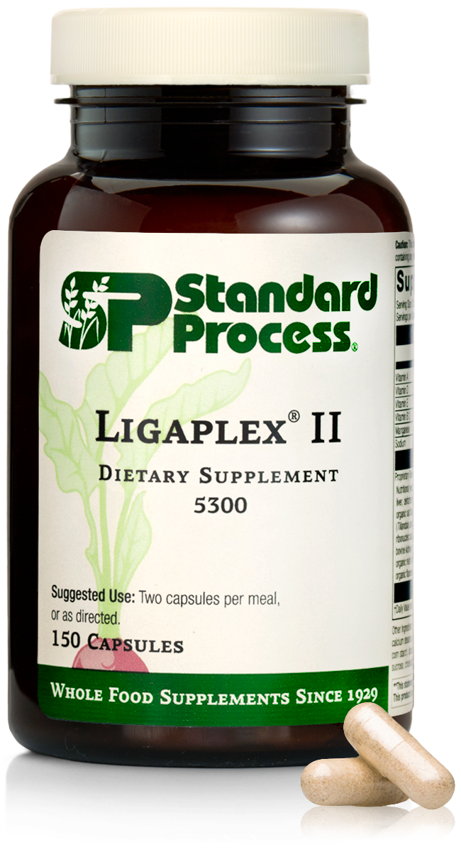 Ligaplex II Standard Process