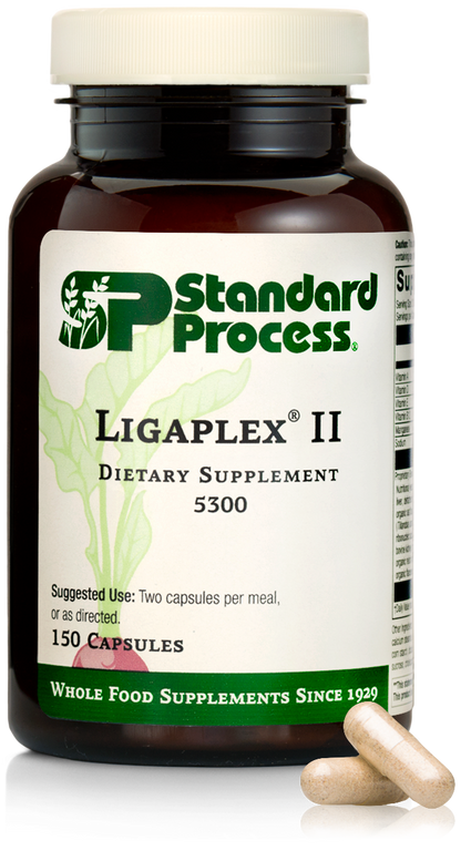 Ligaplex II Standard Process